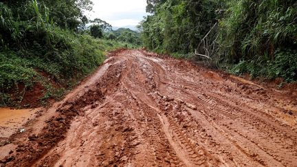 Une route près de Mobwalu, province d'Ituri, dans l'est de la RDC. Photo prise le 6 avril 2018. (REUTERS - GORAN TOMASEVIC / X90012)