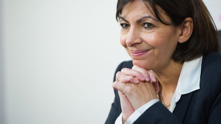 La candidate PS &agrave; la mairie de Paris, Anne Hidalgo, lors d'une interview, le 21 janvier 2014. (LCHAM / SIPA)