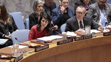 Le Conseil de sécurité de l'ONU, le 7 avril 2017, à New York (Etats-Unis). (LUIZ RAMPELOTTO / EUROPANEWSWIRE / AFP)