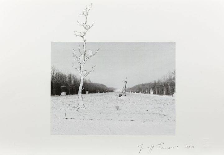 Giuseppe Penone, "Progetto per Versailles" (© Archivio Penone)