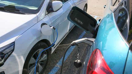 Des voitures électriques branchées à des bornes de rechargement, à Valence (Drôme), le 23 octobre 2021. (NICOLAS GUYONNET / HANS LUCAS / AFP)