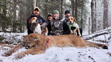 Steve Ecklund (au centre), avec la dépouille d'un puma, début décembre 2017, en Alberta (Canada). (CATERS/SIPA / CATERS NEWS AGENCY / SIPA)