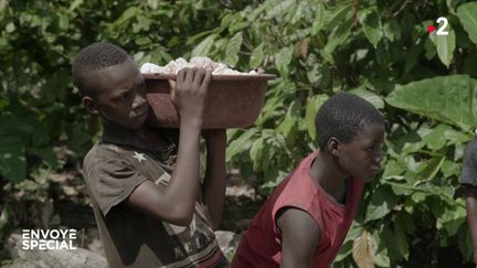 Cacao : les enfants pris au piège (ENVOYÉ SPÉCIAL  / FRANCE 2)