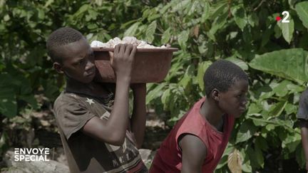 Envoyé spécial. Cacao : les enfants pris au piège