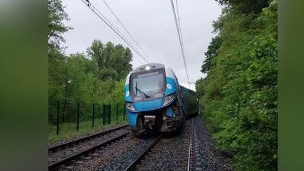 Un TER sur la ligne Firminy-Lyon Perrache a déraillé, dimanche 28 avril, à cause d'un éboulement. L'accident n'a pas fait de victime.