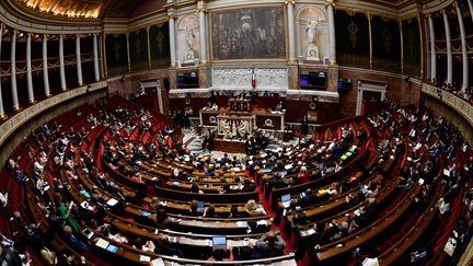 L' Assemblée nationale à Paris, le 1er août 2018. (GERARD JULIEN / AFP)