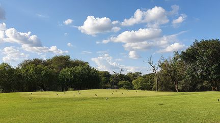 Aujourd’hui, le Kruger, de la taille du Pays de Galles, bordé au nord par le Zimbabwe et à l'est par le Mozambique, s’étend sur 350 km de long et 60 km et large. Il couvre près de 20 000 km².&nbsp; &nbsp; &nbsp; (JEAN ROSSOUW/ MAGNUS NEWS/SIPA)