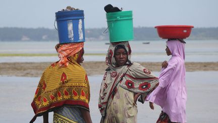 ces Tanzaniennes font partie du paysage paradisiaque qu'offre le lagon bleu turquoise de l'océan Indien. Lorque la marée est basse, elles déambulent voilées dans des tissus multicolores, les pieds dans l'eau, pour ramasser des coquillages. Ces femmes travaillent aussi dans les fermes d'algues qui sont utilisées pour la fabrication de savons ou de produits pharmaceutiques. Plus à l'intérieur des terres, l'île, réputée pour ses épices, emploie encore des femmes pour s'occuper des plantes et des fleurs qui font la joie des gastronomes ou des enseignes de plus en plus tournées vers le bio. Ces ressources de la mer et de la terre font vivre de nombreux villages. (Kaan Bozdogan/Agence Anadolu )