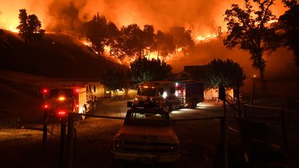 D'importants moyens ont été mis en place pour faire face à cet incendie qui a dévasté plus de 80 000 hectares, selon un bilan réalisé samedi 4 août 2018, dans &nbsp;les comtés de Mendocino, Lake et Colusa à 145 km au nord de San Francisco (Etats-Unis). (MARK RALSTON / AFP)