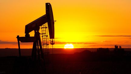 Un puits de p&eacute;trole dans le Dakota du Nord (Etats-Unis),&nbsp;le 21 ao&ucirc;t 2013. (KAREN BLEIER / AFP)