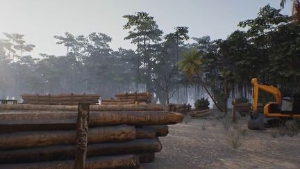 La forêt d'Amazonie a longtemps freiné le réchauffement climatique, mais elle rejette massivment du carbone de nos jours. (CAPTURE ECRAN FRANCE 2)