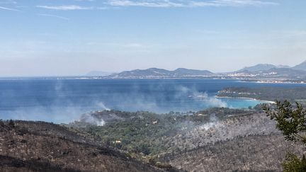 La fôret dévastée par l'incendie, à Bormes-les-Mimosas, le 26 juillet 2017.&nbsp; (MARION LEFLOUR / AFP)