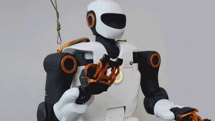 Les robots vont-il mettre fin au travail ?