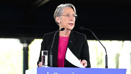 La Première ministre Elisabeth Borne, le 25 mars 2023, à Paris. (ALAIN JOCARD / AFP)