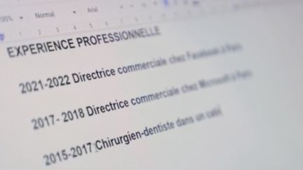 Emploi :&nbsp;les faux CV, une pratique courante (France 3)