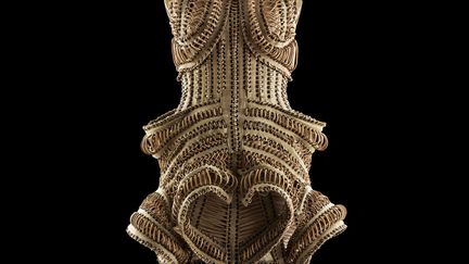 Iris Van Herpen construit chacune de ses collections autour d’un concept et y expérimente formes, matériaux et techniques innovantes. Elle s’inspire de travaux de spécialistes issus de champs disciplinaires variés. Elle multiplie les collaborations avec des industriels et artistes d’horizons différents pour renouveler ses approches et les performances de ses vêtements.
 (Bart Oomes, N°6 Studios)