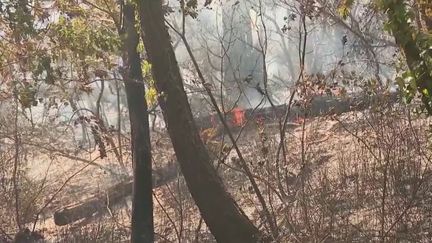 Incendies en Gironde : les feux progressent moins vite mais sont loin d'être fixés