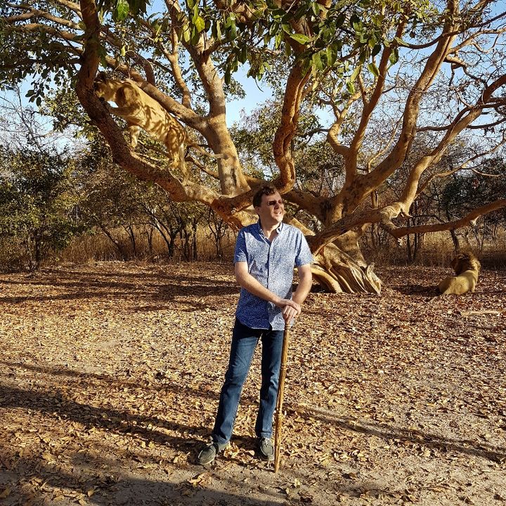 A Fathala, une réserve sœur de Bandia à la frontière gambienne près du fleuve Gambie, en dessous du Sine Saloum. On y marche avec les lions… (Photo DR)