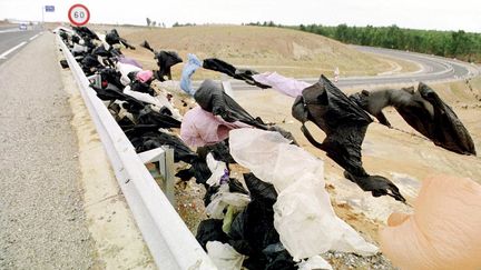 &nbsp; (Des sacs plastique accrochés aux fils barbelés sur l'autoroute Rabat Meknès © MaxPPP)