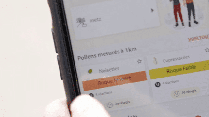 Le printemps est une période compliquée pour tous ceux qui souffrent d’allergie. Toutefois, il existe des outils précieux, comme une nouvelle application qui permet de connaître en temps réel la quantité des pollens dans l’air. Reportage à Metz (Moselle). (France 3)