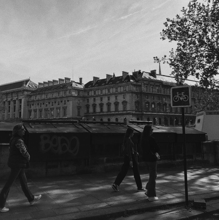 Le&nbsp;quai des Grand-Augustins. Au fond, le Palais de Justice de Paris, sur l'île de la Cité, où se tient le procès des attentats du 13-Novembre. (DAVID FRITZ-GOEPPINGER POUR FRANCEINFO)