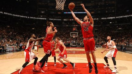 Pau Gasol sous le panier (RON TURENNE / NBAE / GETTY IMAGES)