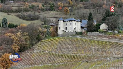 VIDEO. "13h15". Quand de jeunes sommeliers dénichent des petits vignerons qui font des vins naturels