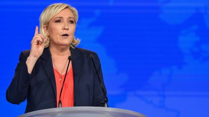 Marine Le Pen fait un discours à Nice (Alpes-Maritimes), le 1er mai 2018. (YANN COATSALIOU / AFP)