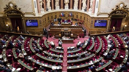 Une séance de questions au gouvernement au Sénat, le 10 juin 2020. (VINCENT ISORE / MAXPPP)