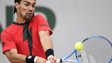 L'Italien Fognini (ERIC FEFERBERG / AFP)