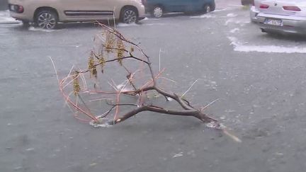 Des pluies torrentielles se sont abattues sur la ville de Catane, en Sicile (Italie), mardi 26 octobre. (CAPTURE ECRAN FRANCE 2)