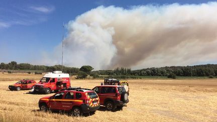 Incendies en Bouches-du-Rhône, samedi 15 juillet.&nbsp; (SDIS 13 - Twitter)