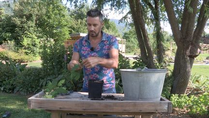 Laurent Vieira en plein cours de bouture d'hortensia.&nbsp; (ISABELLE MORAND / RADIO FRANCE / FRANCE INFO)