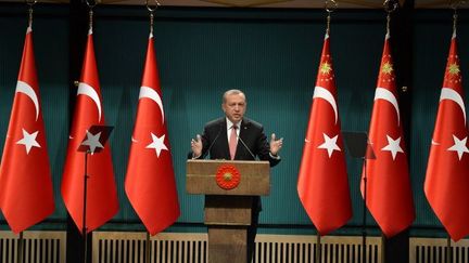 Le président turc, Recep Tayyip Erdogan, proclamant l'état d'urgence pour trois mois, lors d'une conférence de presse à Ankara le 20 juillet 2016. (Mustafa Kaya/NurPhoto)