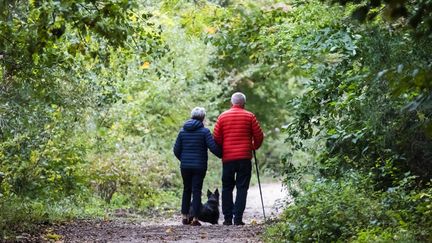 Un couple de retraités lors d'une promenade en forêt à Guyancourt, le 24 octobre 2019&nbsp; (VINCENT ISORE / MAXPPP)