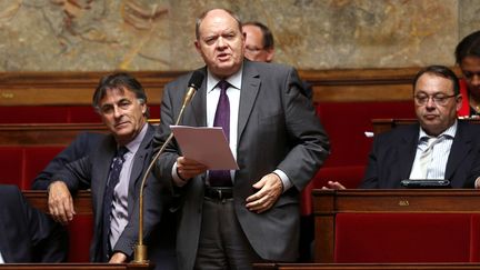 Le d&eacute;put&eacute; socialiste Ren&eacute; Dosi&egrave;re, le 25 juin 2013 &agrave; l'Assembl&eacute;e nationale. (FRANCOIS GUILLOT / AFP)