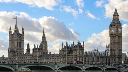 Le palais de Westminster à Londres, le 11 janvier 2014. (DANIEL KALKER / DPA / AFP)