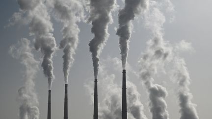 Une centrale à charbon , à Zhangjiakou (Chine), le 15 novembre 2021. (GREG BAKER / AFP)