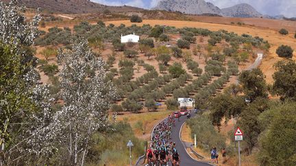 La 14e étape de la Vuelta, longue de 175 km, relie Ecija à Sierra de La Pandera. (DE WAELE TIM / TDWSPORT SARL)