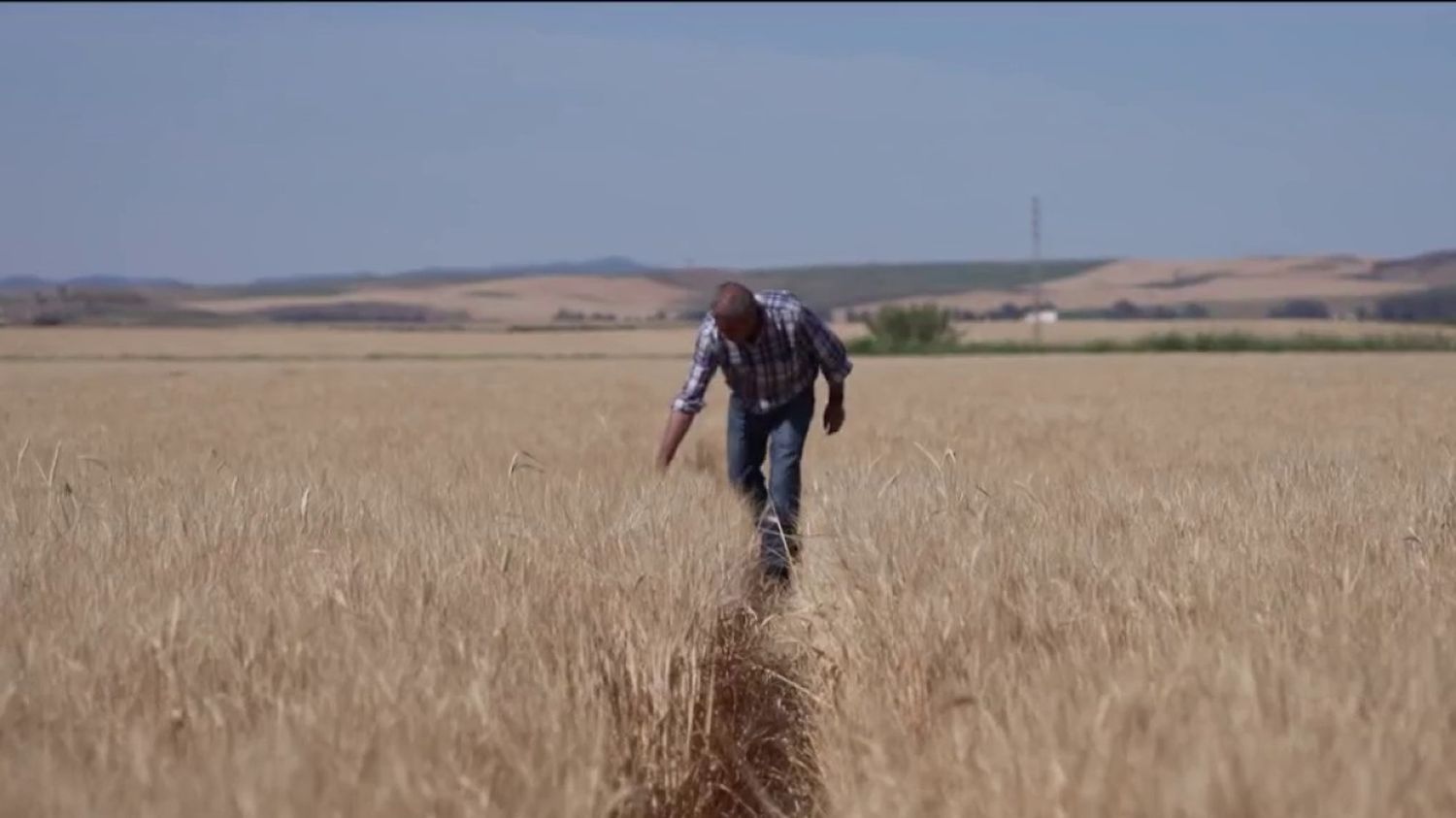 España bajo las garras de una fuerte ola de calor, los agricultores en peligro