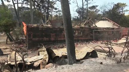 Incendies en Gironde : les campings de la dune du Pilat dévastés