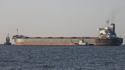 Le cargo "Star Helena" est parti d'Ukraine le 7 août 2022. (METIN AKTAS / ANADOLU AGENCY / AFP)