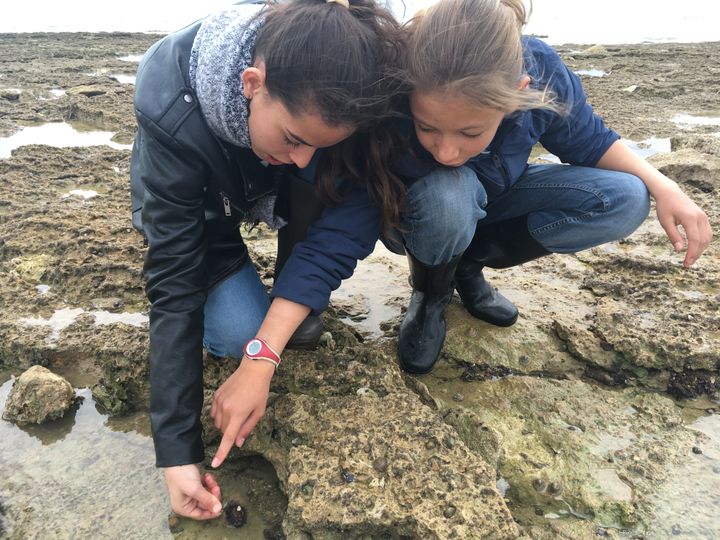 Pêche à pied sur l'île d'Oléron. (Ingrid Pohu)