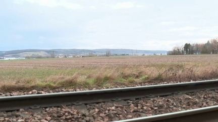 SNCF : près des voies, les animaux sauvages sont traqués afin d'éviter les collisions avec les trains