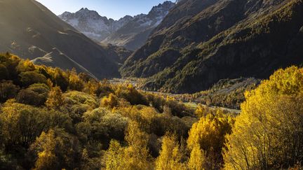 L'écologue Sandra Lavorel mène des recherches au Col du Lautaret, dans les Hautes-Alpes, pour étudier l'effet du changement climatique sur les pelouses alpines (photo d'illustration). (MONTICO LIONEL / AFP / HEMIS.FR)