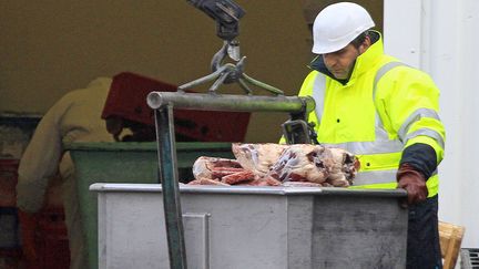 Un salari&eacute; de Spanghero transporte des pi&egrave;ces de viande, &agrave; Castelnaudary (Aude), le 15 f&eacute;vrier 2013. (JEAN PHILIPPE ARLES / REUTERS)