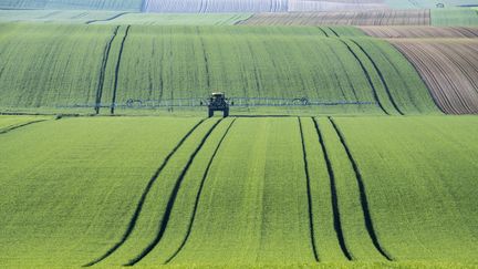 "Le renouvellement des générations en agriculture ne se réduit pas à des considérations démographiques, mais engage l’évolution vers des modèles et des pratiques d’agriculture durable et résiliente, sur un territoire bien aménagé", souligne la Cour des comptes dans son rapport publié cette semaine. (Illustration) (ACHIM THOMAE / MOMENT RF / GETTY IMAGES)