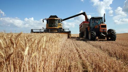 Suicide : les agriculteurs plus à risque (&copy;Fotolia)