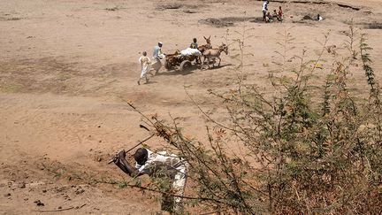 Si les villageois affirment faire de leur mieux pour respecter les restrictions, ils se désespèrent du manque de terres pour cultiver de quoi nourrir la population. "Nous pratiquons l'agriculture traditionnelle et nous empêchons nos animaux de paître en dehors du village", affirme un fermier de Mai Carato, bourgade située sur la rive Ouest de la rivière Rahad qui traverse le parc. Selon lui, les réglementations sont "très dures et peu pratiques".&nbsp; &nbsp; &nbsp; (ABDULMONAM EASSA / AFP)