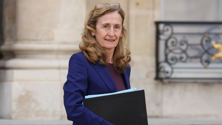 Nicole Belloubet à la sortie du Conseil des ministres à l'Elysée, le 20 mars 2019.&nbsp; (LUDOVIC MARIN / AFP)